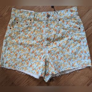 ZARA the 90's shorts